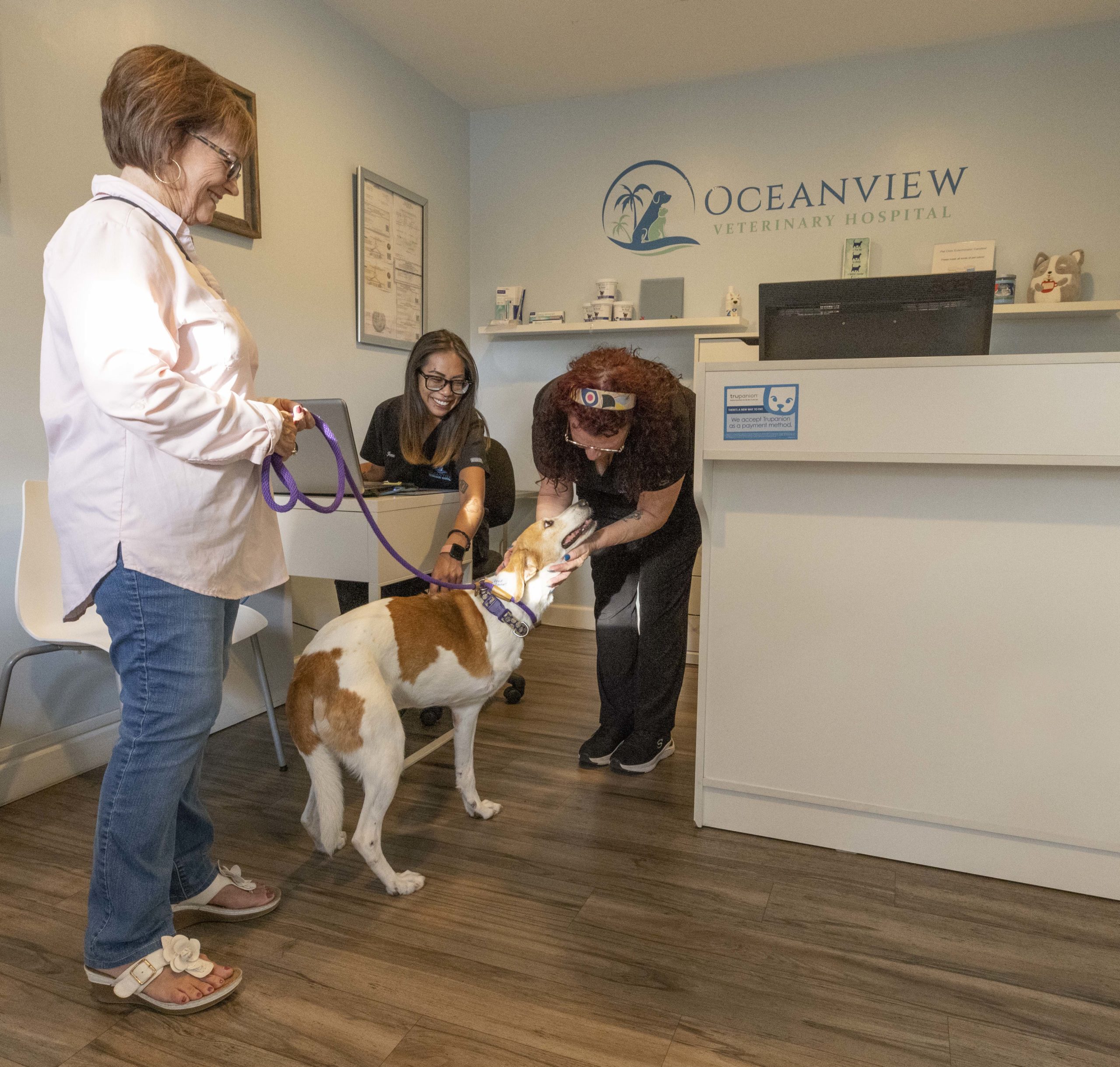 Jacksonville veterinary hot sale clinic